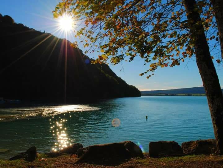 Maison/Gite Familial Dans Le Jura A 200M Du Lac Avec Piscine Privee Marigny  Eksteriør bilde