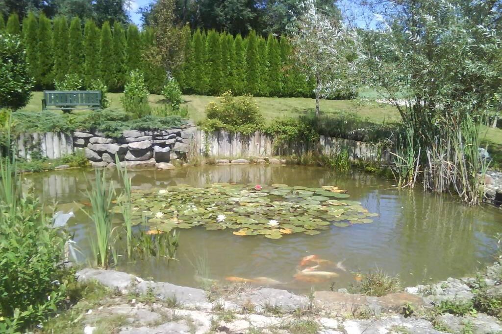 Maison/Gite Familial Dans Le Jura A 200M Du Lac Avec Piscine Privee Marigny  Eksteriør bilde