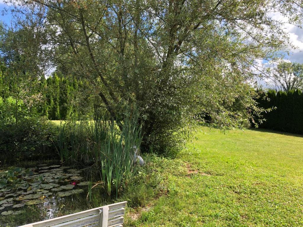 Maison/Gite Familial Dans Le Jura A 200M Du Lac Avec Piscine Privee Marigny  Eksteriør bilde
