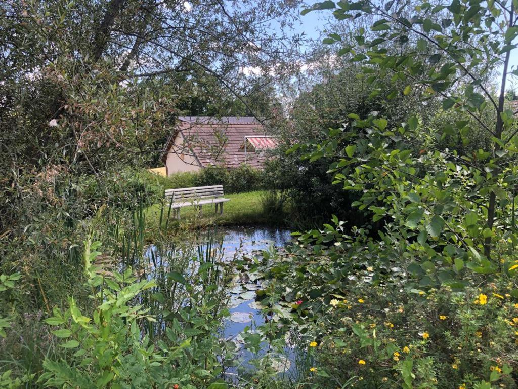 Maison/Gite Familial Dans Le Jura A 200M Du Lac Avec Piscine Privee Marigny  Eksteriør bilde